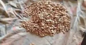 نهر النيل ضبط حبوب مخدرة