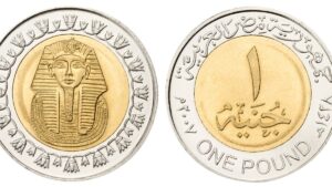 الجنيه المصري يتراجع