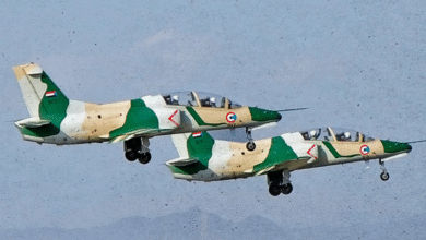 نسور الجو