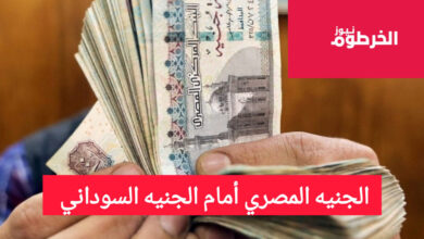 أوراق نقدية من الجنيه المصري في يد، مع عنوان "الجنيه المصري أمام الجنيه السوداني"، يعكس موضوع أسعار الصرف أو الاقتصاد.