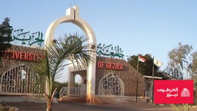 مدخل جامعة الجزيرة الرئيسي في السودان، بوابة معمارية حجرية تحمل اسم الجامعة باللغتين العربية والإنجليزية، معلم تعليمي هام.