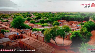 مدينة النهود، المركز الاقتصادي لغرب كردفان، حيث توقفت بورصة المحاصيل عن العمل بسبب الحرب.