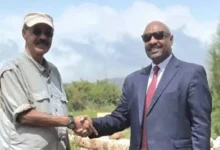 الجاكومي