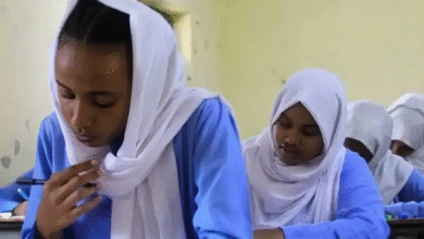 نتيجة القبول بالجامعات السودانية 2025