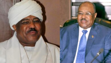 محي الدين سالم وزير الخارجية