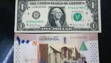سعر الدولار في السودان اليوم