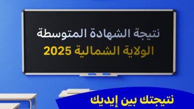 نتيجة الولاية الشمالية