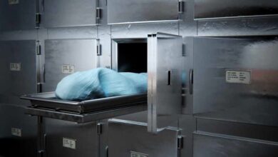 جريمة تهز المناقل: ابن ينهي حياة والده بدم بارد بتحريض من والدته من أجل المال